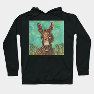 Little Brown Donkey Hoodie